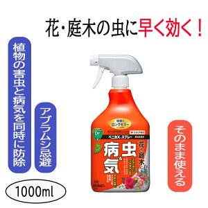 |p xjJXXv[ 1000ml E E Q h aC\h  AuV xjJ Xv[ ZFw|