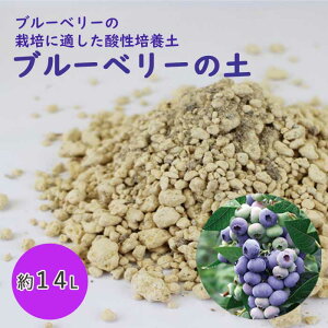 u[x[̓y@14bg x[ berry _ _y |{y u[x[p | K[fjO ͔| u[x[