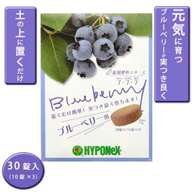 園芸用 ハイポネックス 錠剤肥料シリーズ ブルーベリー用 30錠(10錠×3) 簡単 錠剤 土に置くだけ blueberry