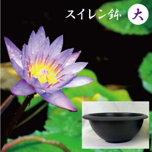 XC   a45cm [18cm 12bg vX`bN y