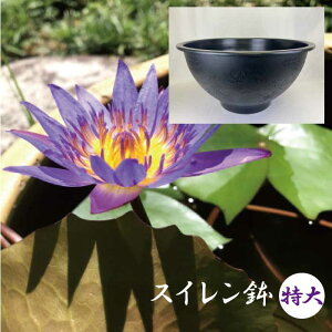 XC   a60cm [30cm 50bg vX`bN y