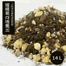 土 宿根草の土 培養土 14L 栽培 宿根草 宿根 草 花 園芸 ガーデニング 植え替え 植え込み