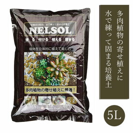 水で練って固まる 土 NELSOL 多肉植物の土 5L ネルソル 培養土 寄せ植え 園芸 リース作り 多肉 サキュレント 植物 サボテン さぼてん