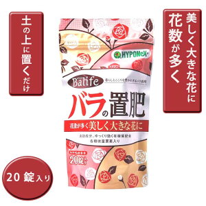 |p nC|lbNX oCt o̒u 20 i10×2j yɒu ȒP  KN rose A A u 엿