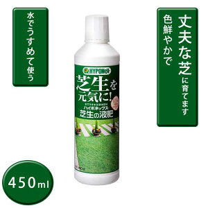 Őp t̔엿 nC|lbNX Ő̉t 450ml t t 엿 ߂