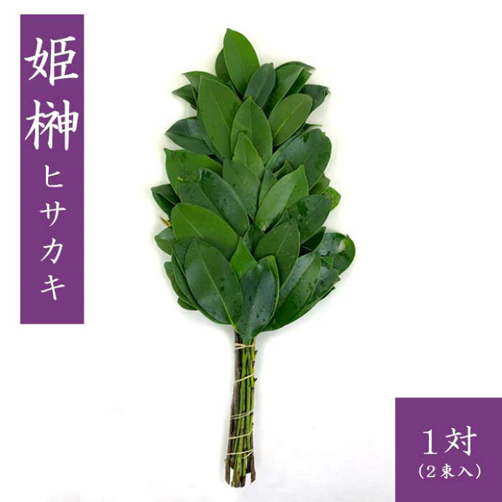 楽天市場】姫榊 榊 姫サカキ ヒサカキ 1対(2束入) 神棚 サカキ お祀り 