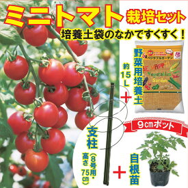 楽天市場 トマト 栽培 セットの通販