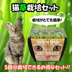 猫草 栽培セット お手軽 簡単 栽培 猫が好き 育てやすい ネコ ねこ neko 観葉植物 cat grass 農薬不使用 花の大和