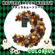 ハロウィン 【 ムーンリース カラフル 】 ナチュラル リース 天然素材使用 ハンドメイド プレゼント ギフ…