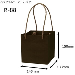 Ԏ i yAWobOzxW^uy[p[obOS R-88 ԁE| 1i100j  