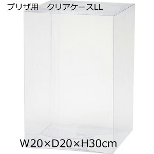 Ԏ i 10Zbg yNAP[XLLz {bNX 20cmp vU[uht[ AWpȂǂ pp2012