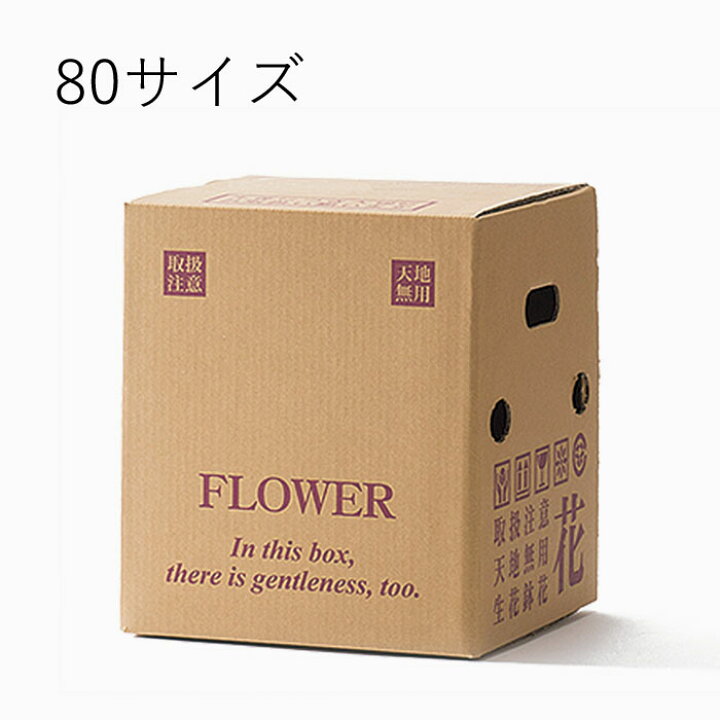 楽天市場】花資材【個人宛不可・屋号必須】【宅配BOX 80サイズ 50枚 