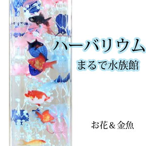 G n[oEyٕ z zIȕ͋C MtgɍœK 񂬂iNAV[gjƃvAWTCEJX~̕rl߃IC 蕨 t[Mtg  Mы