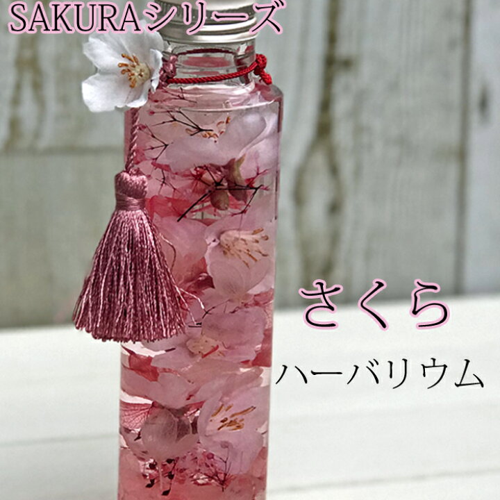 楽天市場 雑貨 ハーバリウム 桜 円柱 瓶 クリアケースに入れてお届け 高さ17センチ ギフトに最適 桜 造花 とプリアジサイ カスミの瓶詰オイル 贈り物 フラワーギフト 春 卒業 入学祝いに 花資材 ハナプラ 楽天市場 雑貨 ハーバリウム 桜 円柱 瓶 クリアケースに入れてお届け 高さ17センチ ギフトに最適 桜 造花 とプリアジサイ カスミの瓶詰オイル 贈り物 フラワーギフト 春 卒業 入学祝いに 花資材 ハナプラ