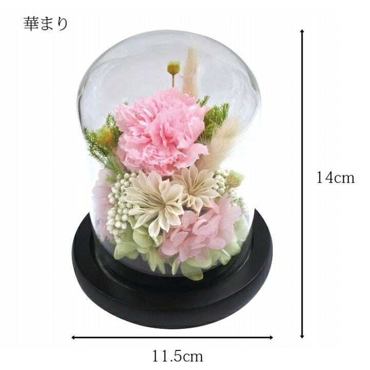 楽天市場 華まり 花ごころsプリザーブドフラワー お供え ガラスドームアレンジ 枯れない加工 水やり不要 本物のお花 仏壇 仏花 仏様 お盆 お彼岸 造花ではないプリ 花資材 ハナプラ