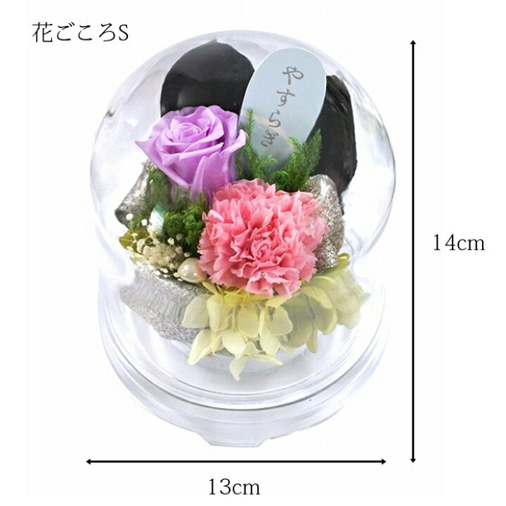 楽天市場 華まり 花ごころsプリザーブドフラワー お供え ガラスドームアレンジ 枯れない加工 水やり不要 本物のお花 仏壇 仏花 仏様 お盆 お彼岸 造花ではないプリ 花資材 ハナプラ