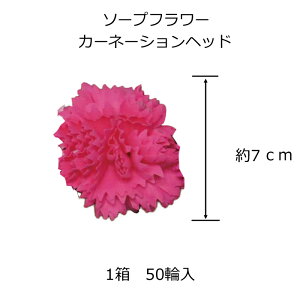 yށz\[vt[@wbhJ[l[V@50փZbg