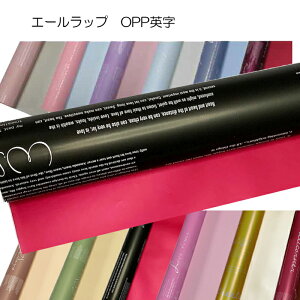 yG[bvzOPPp@ʁ@65cm×20m@bsOށ@ԑ@Mtg Ԏށ@i