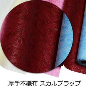 Ԏ i ysDzz XJvbv 75cm×10m bsO ԑ Ӓ ϗt 