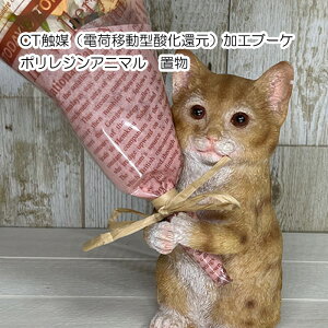  G 1 yCTG}u[P lRz lR  u u[P{_[ h R LCT~ju[P ˂ g 4208673-01