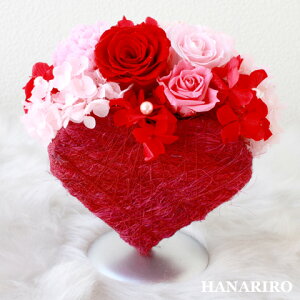 y12܂ŎtyveB[n[gz vU[uht[ j  j LO ̑LO JXj n[g^ aj Mtg  v[g  蕨 u