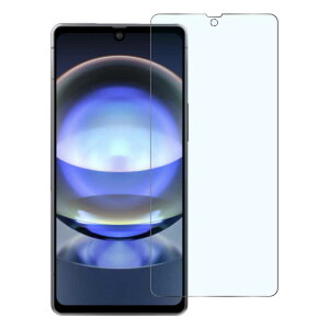 �yP10�{�zAQUOS sense10 �ی�t�B���� �u���[���C�g�J�b�g AQUOS wish5 sense9 wish4 R10 R9 R9pro �t�B���� sense8 wish3 �K���X�t�B���� R8 sense7 Plus sense6s �t���ی�t�B���� wish2 wish sense6 sense4 sense3 lite plus ���