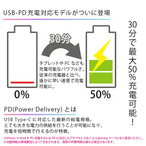 【PSE認証】モバイルバッテリーPD充電対応コンパクト軽量10000mAh大容量同時充電2ポートiPhoneXSXRX87iPadタブレットスマホGalaxyS9Note9Xperia送料無料NexusAndroidPanasonic|充電器急速充電器スマホ充電器モバイル充電器スマホバッテリー