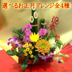 ̂܂܏{iIAWgyzyzybZ[WJ[hzyԁz