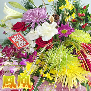 ̂܂܏{iIAWgyzyzybZ[WJ[hzyԁz