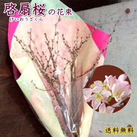 楽天市場 桜 花束の通販
