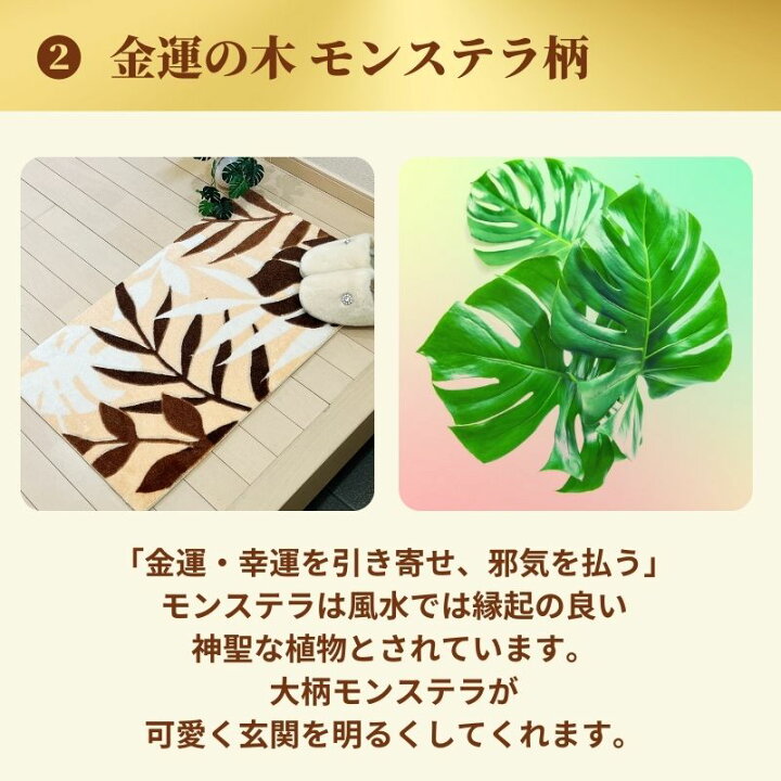 楽天市場 金運開運日期間 商品 限定 財布半額 開運 金運 風水 金運の木を玄関に 敷くだけ 風水 金運モンステラ 玄関マット 45 75 ベージュ ブラウン グリーン 滑り止め 竹炭粒 魔除 厄除 赤巾着 金運 グレープフルーツ 消臭 抗菌ミスト マット用布用洗剤付 開運金運