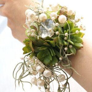 yz  p[  Xgbg  / EGfBO CO ][gEGfBO 2 p[eB[ JbRCC  t[ANZT[