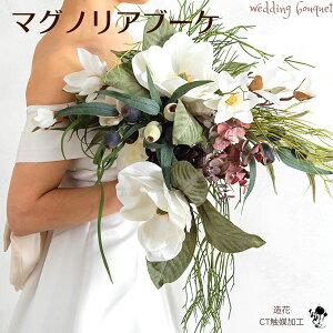 EFfBOu[P  }OmA   傫ȃu[P R ؘ@ N   IV ؂₩   i uC_u[P u[P u[gjA Zbg 2_Z