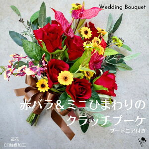 EFfBOu[P ԃo ~jЂ܂ Nb`u[P  o u[P ԃu[P  IV     uC_u[P u[gjAZbg 2_Zbg t