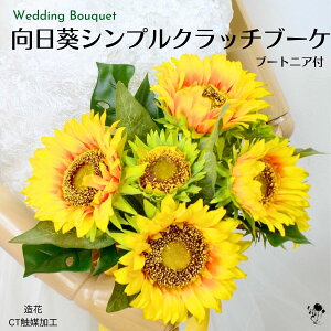 EFfBOu[P Ђ܂ Vv N₩ RpNg A[eBtBVt[  q} ԉ i` ԃu[P F ㎿  C u[P u[gjA Zbg 2_Z