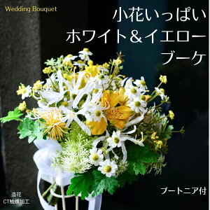 EFfBOu[P ̉ Vv RpNg u[P i`  ԃu[P 킢 쑐 i` EFfBOu[P F ㎿  C u₩ }gJA u[gj