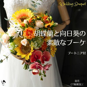 EFfBOu[P  Ӓƌ̑fGu[P u[P u[gjA Zbg eBAhbv   ԉ  Ђ܂ }[S[h C 킢  T}[EGfBO u