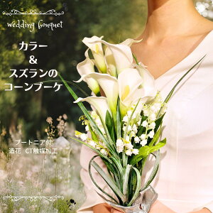 EFfBOu[P J[ 闖 ԃu[P  u[P EFfBO ㎿ l X^CbV GKg Vv ꂢ i`   IV ԉ uC_u[P 