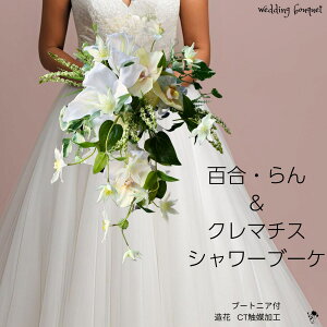  N}`X V[u[P   ԃu[P S  EFfBOu[P Ӓ ACr[ I lԉ ԉ a i` uC_u[P u[P u[gjA Zbg