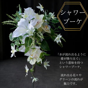EFfBOu[P  N}`X   ԃu[P S  Ӓ ACr[ I lԉ ԉ a V[u[P i` uC_u[P u[P u[gjA Zbg