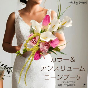 EFfBOu[P J[ AX o [J ԃu[P  u[P EFfBO ㎿ l X^CbV GKg Vv ꂢ  sN    IV 