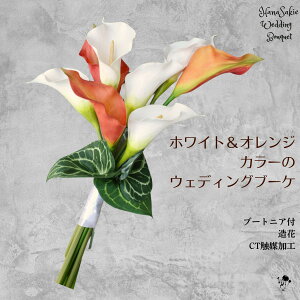 EFfBOu[P Vv ㎿ u[P J[  IW  ԃu[P R[u[P lC X^CbV EFfBOhX a ㎿   u[gjAZbg 2_Zb