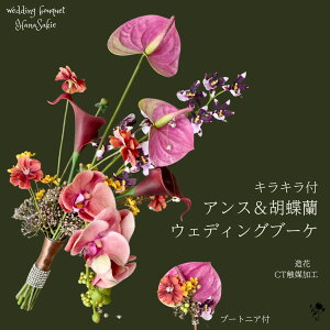 EFfBOu[Pu[P Ӓ J[ AX[ RXX IVW[ ㎿  ԑ u[gjAt CO OB  tHgEFfBO CTG}H Vv ԃu[