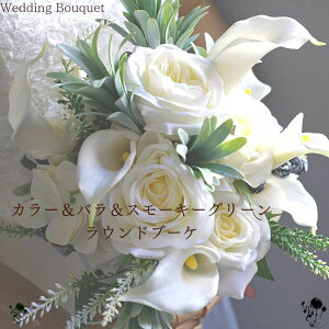 EGfBOu[P J[ o ㎿ X[L[O[  Ci zCg  u[P u[gjA Zbg 2_Zbg Vv Eh  i` uC_u[P tH