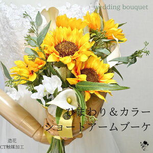 yyVLO܁z EFfBOu[P  u[P EFfBO  Ђ܂  J[ V[gA[u[P lC i` ԃu[P F ㎿  C u₩  u[