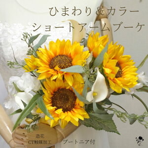 D̉ԉłɁI Ђ܂ J[ V[gA[u[P EFfBOu[P i` ԃu[P F ㎿ vԉ  C u₩  T}[EGfBO u[P u[gjA