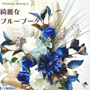 yc1_zYȃu[u[P  o _A sIj[ TVOu[ u[P EGfBOu[P ԃu[P u[    IV  uC_u[P u[