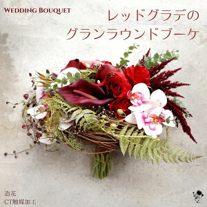 EFfBOu[P  ԃu[P u[P u[gjA Zbg 2_Zbg Ӓ J[ ~ 1_ bhOf[ṼOu[P IV 傫ȃu[P ۓI JbRCC  l