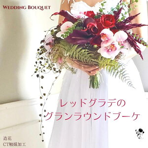 1_ E݊Q̃u[P  o J[ Ӓ IV 傫ȃu[P EFfBOu[P ۓI JbRCC   u[P u[gjA Zbg lԉ  