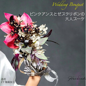 EFfBOu[P 1_ lԉ  sN IV ԃu[P  u[P u[gjA Zbg EFfBO sN R[u[P X^CbV ꂢ l ԉ   fG 